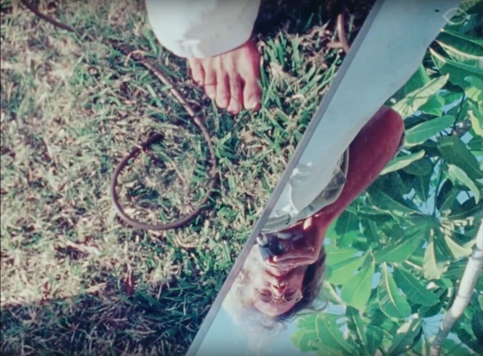 6000 Dollar – Bild 2